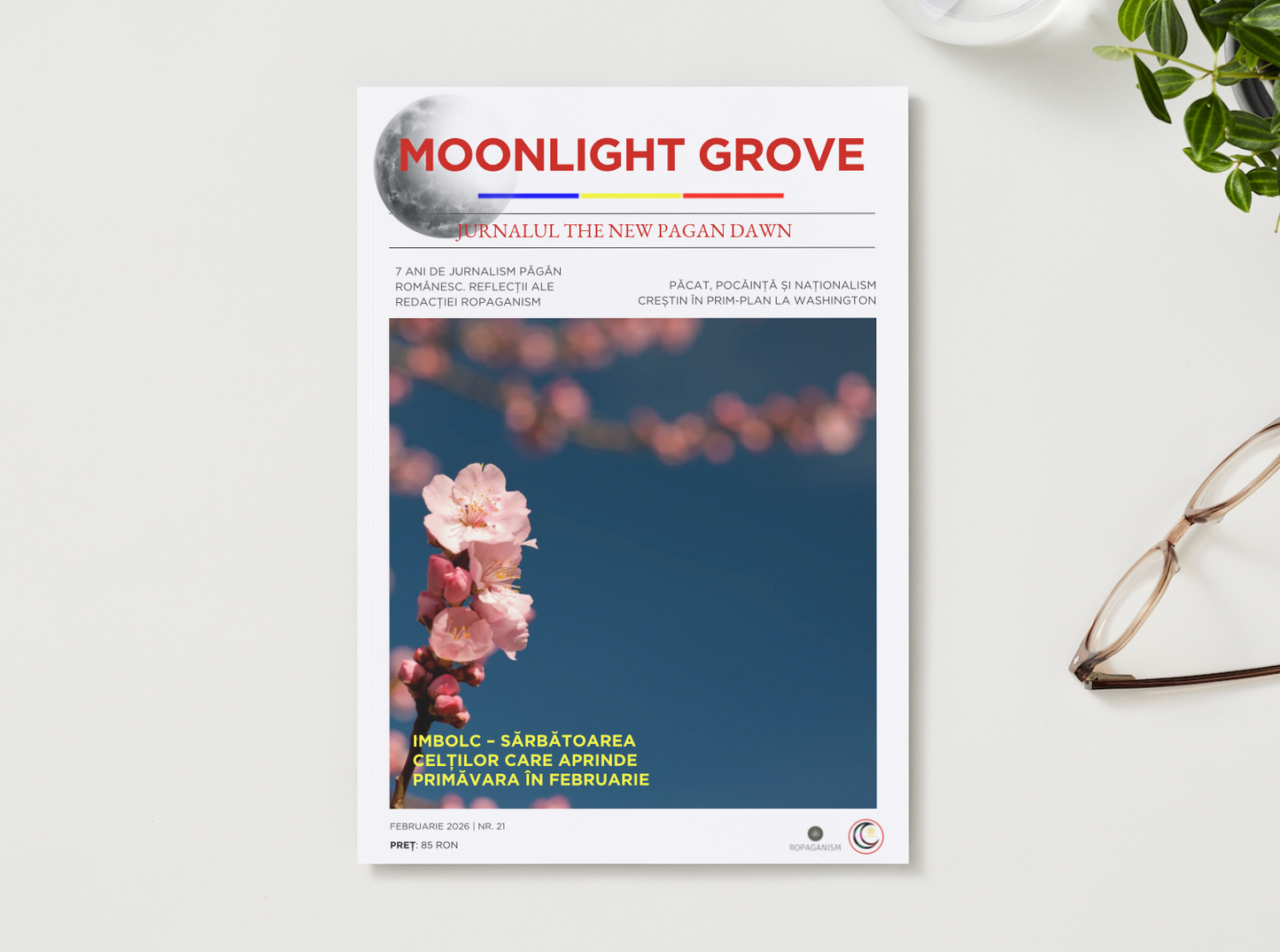 Revista Moonlight Grove Ediția 21 Luna Februarie 2026