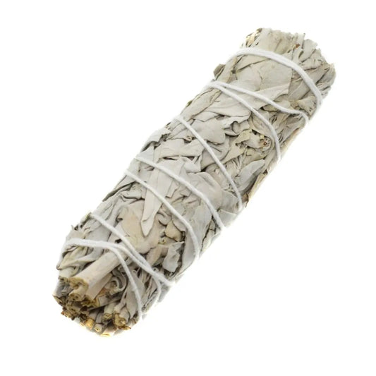 Buchet Salvie Albă (California White Sage) 10-12cm